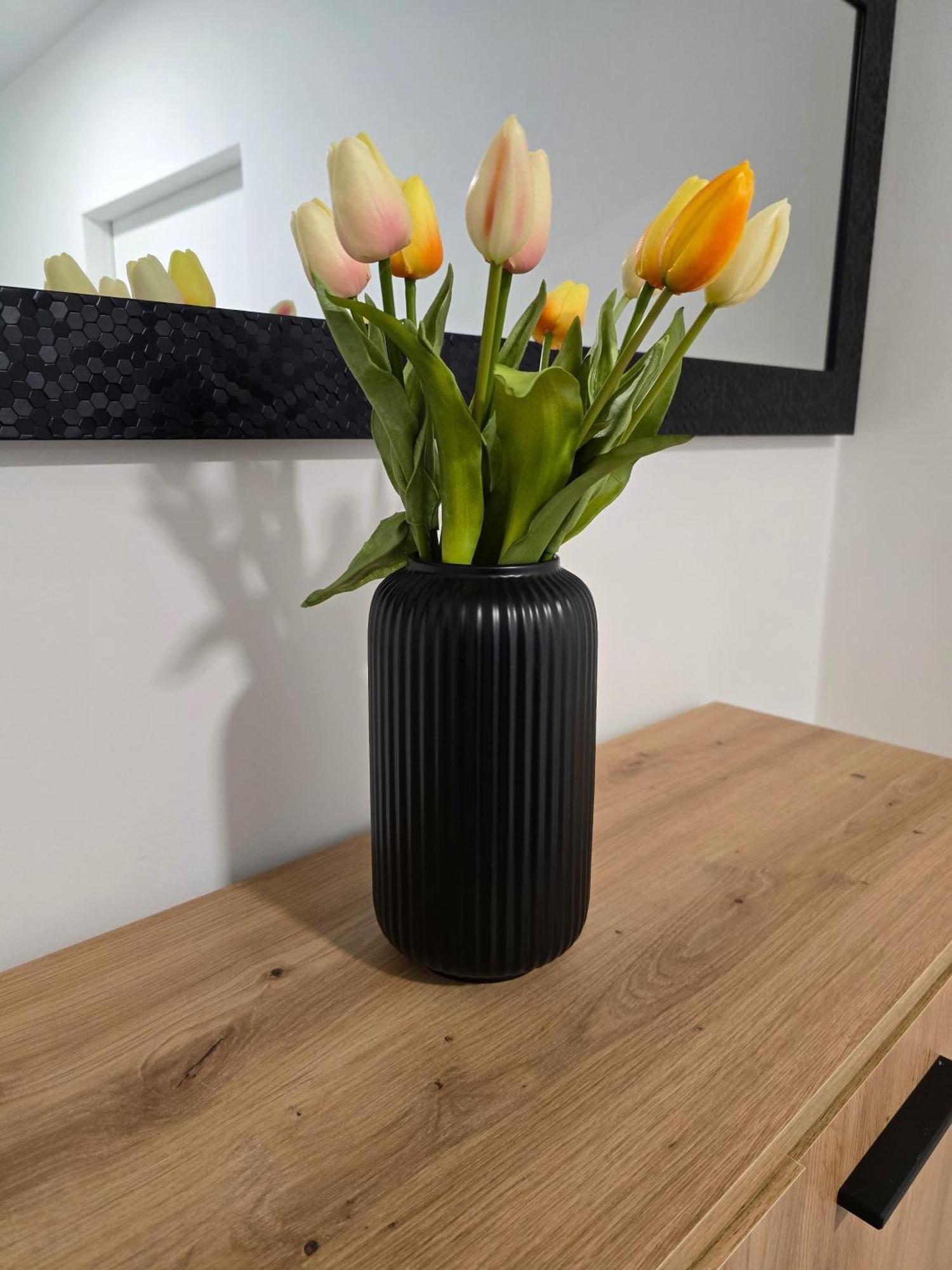 Apartment Golden Oasis Free Private Parking Laibach